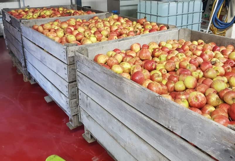 Nos pommes de première qualité et sélectionnées de manière rigoureuse
